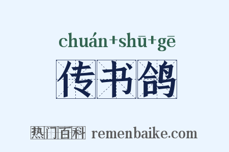 传书鸽是什么意思的图片